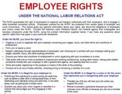 employee rights image